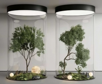 Modern Plant Landscaping-ID:919217119