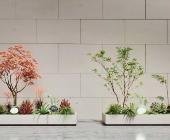 Modern Plant Landscaping-ID:998435023