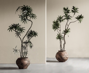 Modern Ground Green Plant Potted Plants-ID:279300932