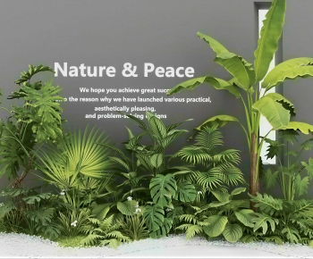 Modern Plant Pile-ID:992769005