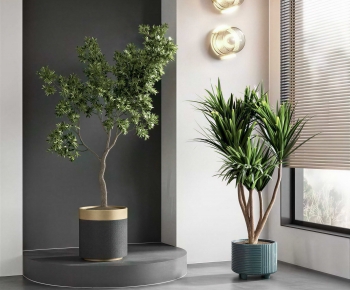 Modern Ground Green Plant Potted Plants-ID:879869943