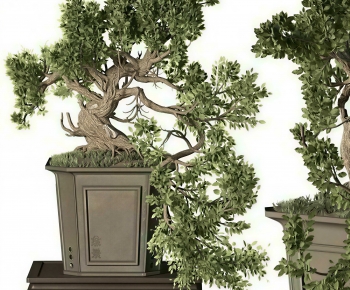 New Chinese Style Bonsai-ID:823918108