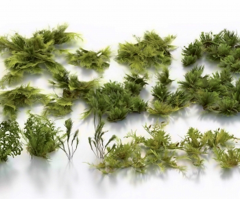 Modern The Grass-ID:748279099