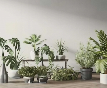 Modern Ground Green Plant Potted Plants-ID:807749038