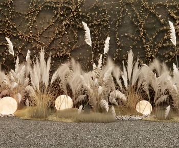 Wabi-sabi Style Plant Landscaping-ID:698570011