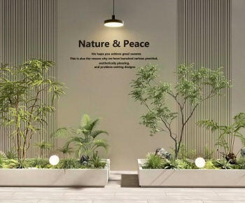 Modern Flower Bed, Flower Bowl, Flower Box-ID:196348911