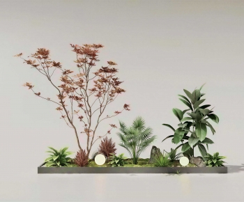 Modern Plant Landscaping-ID:702239042