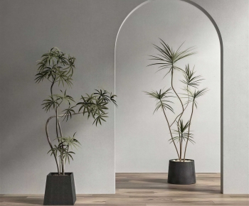 Modern Ground Green Plant Potted Plants-ID:453363908