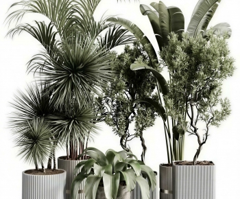Modern Ground Green Plant Potted Plants-ID:954991107