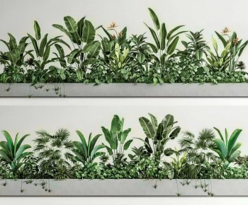 Modern Flower Bed, Flower Bowl, Flower Box-ID:753549103