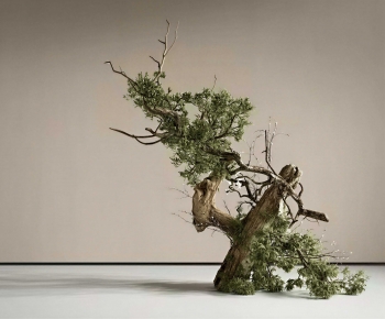 Wabi-sabi Style Plant Landscaping-ID:398262022