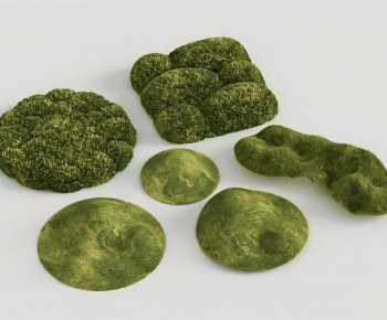 Modern The Grass-ID:979366067