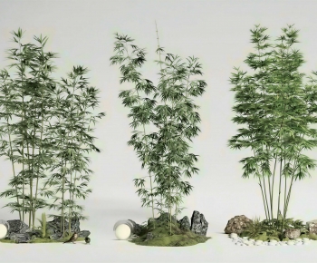 Modern Plant Landscaping-ID:127224924