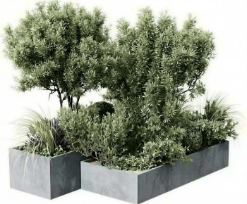Modern Flower Bed, Flower Bowl, Flower Box-ID:144526961