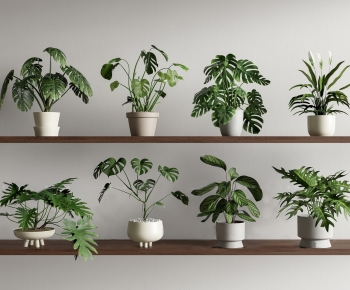 Modern Potted Green Plant-ID:193512921