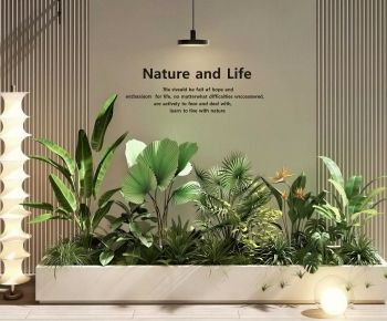 Modern Plant Landscaping-ID:707098013