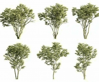 Modern Tree-ID:959785946