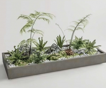 Modern Flower Bed, Flower Bowl, Flower Box-ID:933320053