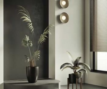 Modern Ground Green Plant Potted Plants-ID:890108112