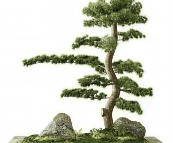 New Chinese Style Plant Landscaping-ID:473717931