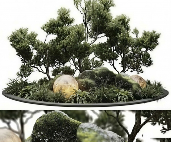 Modern Plant Landscaping-ID:702548034