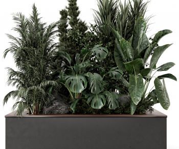 Modern Flower Bed, Flower Bowl, Flower Box-ID:571619992