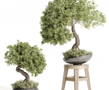 New Chinese Style Bonsai-ID:358202931