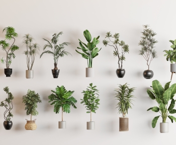 Modern Ground Green Plant Potted Plants-ID:768625971