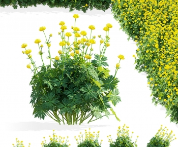 Modern Flowers And Grass-ID:175004015