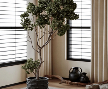 Modern Ground Green Plant Potted Plants-ID:569389105