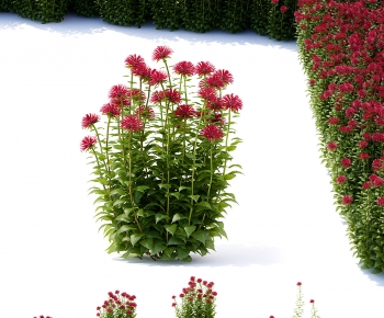 Modern Flowers And Grass-ID:777302035