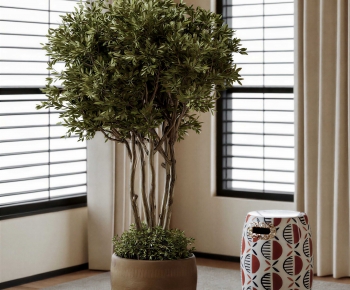 Modern Ground Green Plant Potted Plants-ID:976917983