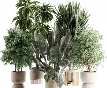 Modern Ground Green Plant Potted Plants-ID:660742046