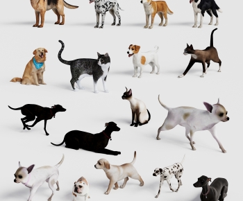 Modern Mammal-ID:750881917