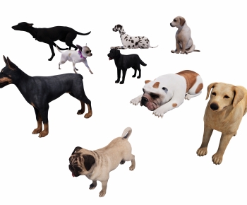 Modern Animal Dog-ID:886251931