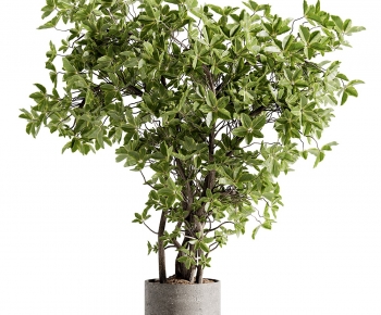 Modern Ground Green Plant Potted Plants-ID:775578984