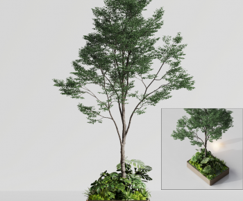 Modern Flower Bed, Flower Bowl, Flower Box-ID:466124068