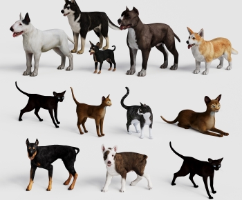 Modern Mammal-ID:378119955