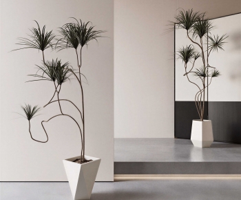 Modern Ground Green Plant Potted Plants-ID:232290987