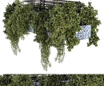 Modern Vine-ID:216424943