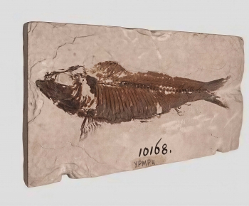 Modern Other-ID:548558004