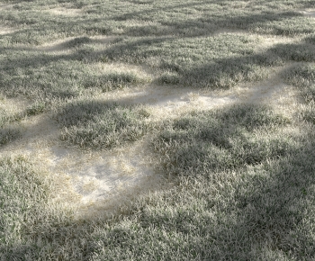 Modern The Grass-ID:690429283