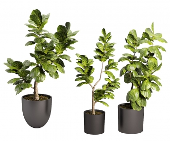 Modern Ground Green Plant Potted Plants-ID:667525051
