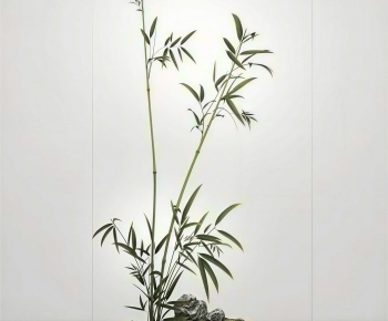 New Chinese Style Bonsai-ID:889352086