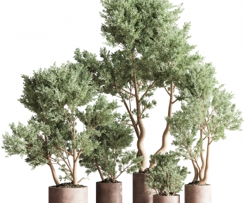 Modern Ground Green Plant Potted Plants-ID:368011005