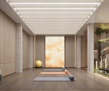 Modern Home Fitness Room-ID:961441044