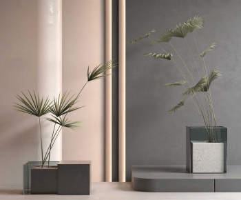 Modern Ground Green Plant Potted Plants-ID:539844049