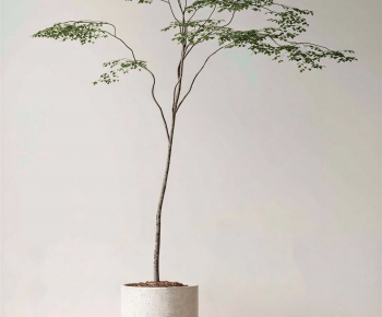 Modern Ground Green Plant Potted Plants-ID:729579938