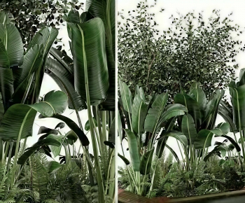 Modern Tree Pool-ID:434548944