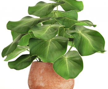 Modern Potted Green Plant-ID:138961081